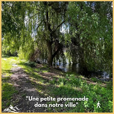 Daire Beau Petit Au Coeur De L'ariege.