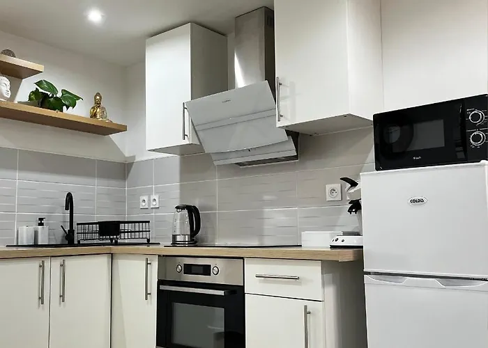 Beau Petit Au Coeur De L'ariege. Apartament