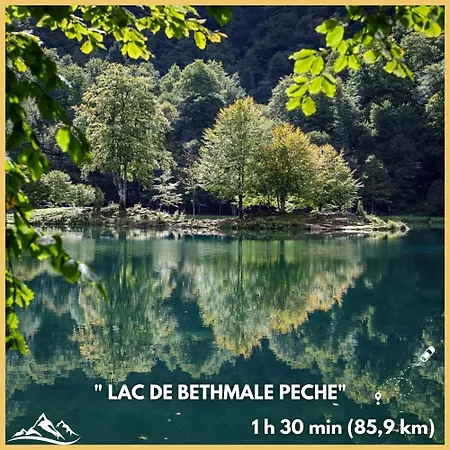 Daire Beau Petit Au Coeur De L'ariege. *