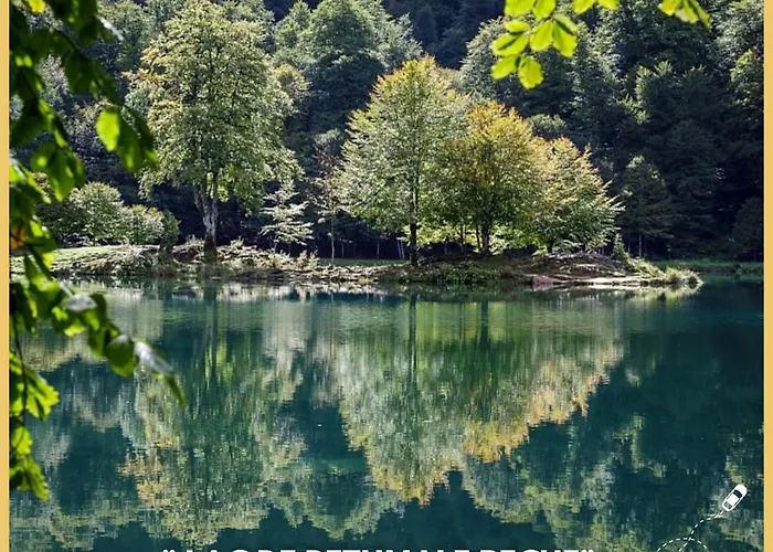 Daire Beau Petit Au Coeur De L'ariege. *